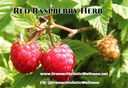 Berries of a Raspberry-1700485__340